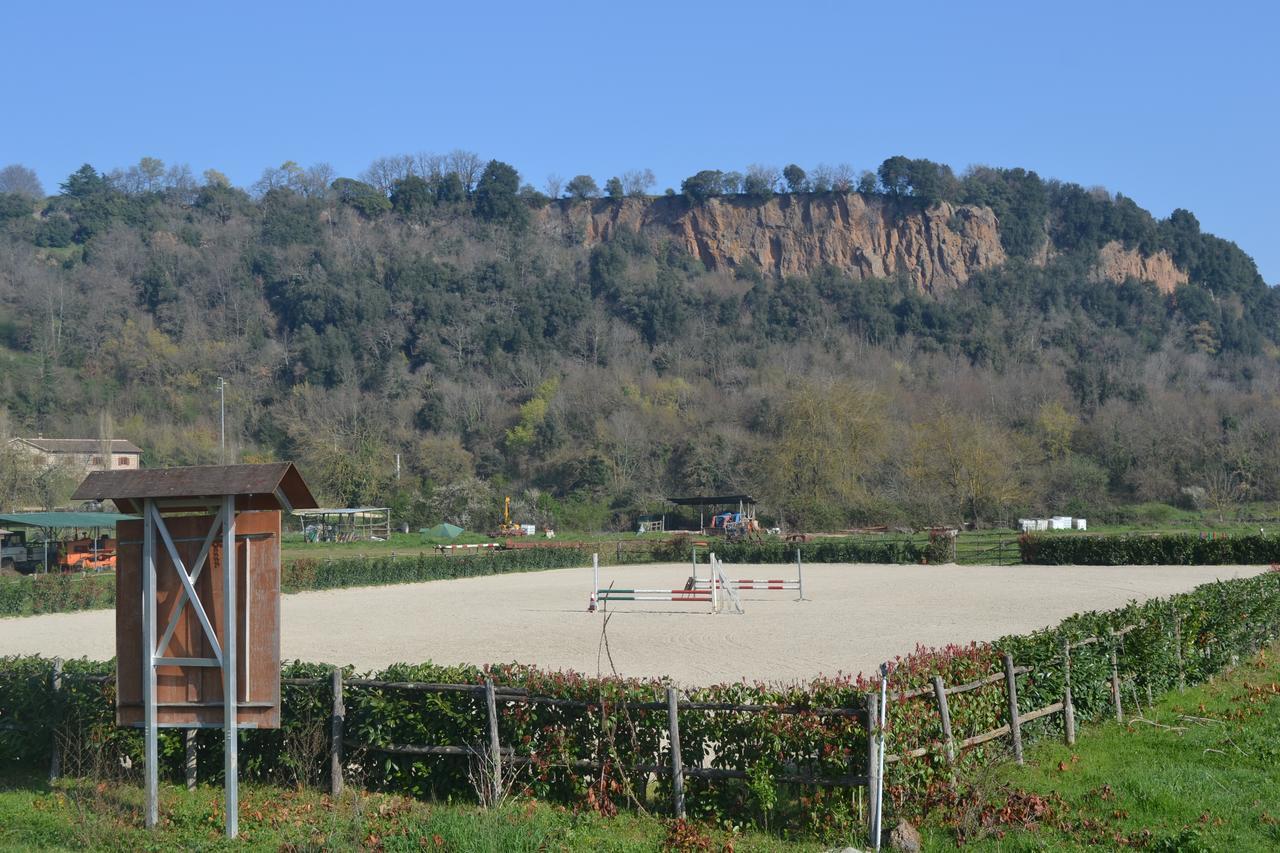 Agriturismo Le Forre Del Treja Civita Castellana Bagian luar foto
