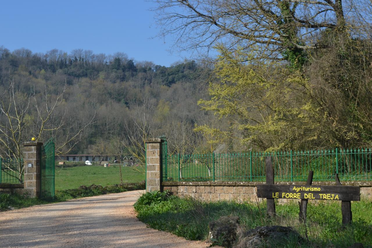 Agriturismo Le Forre Del Treja Civita Castellana Bagian luar foto
