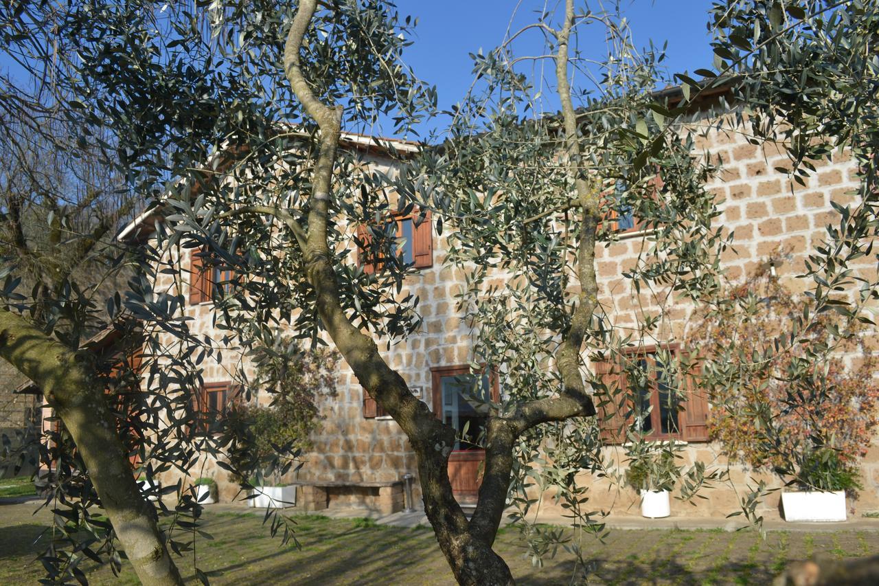 Agriturismo Le Forre Del Treja Civita Castellana Bagian luar foto